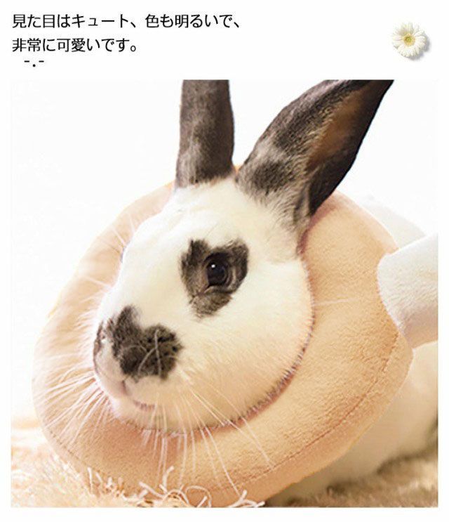 ペット うさぎ エリザベスカラー 猫 ねこ ネコ 小型犬 かわいい