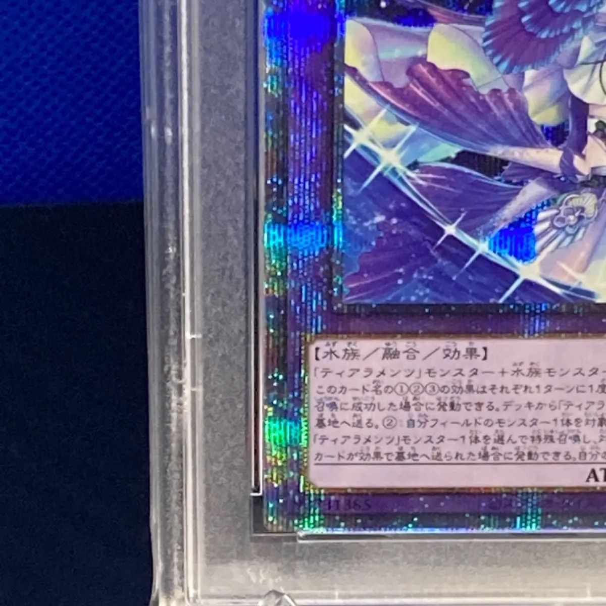 キトカロス プリズマ PSA10-