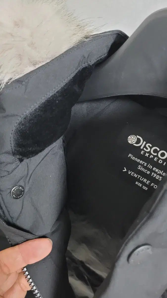 ディスカバリー キッズ