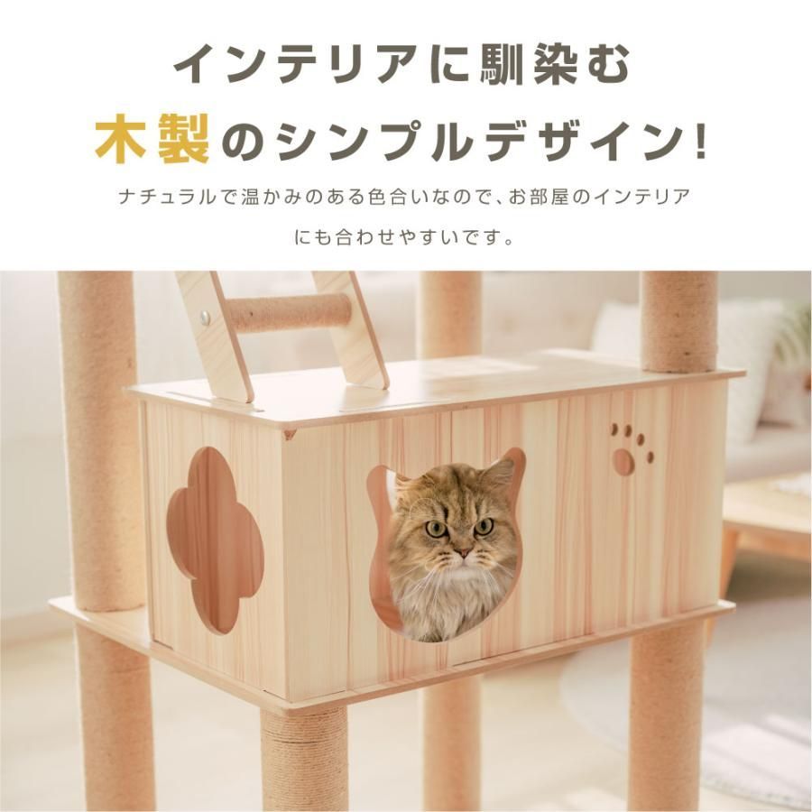 猫ハウス