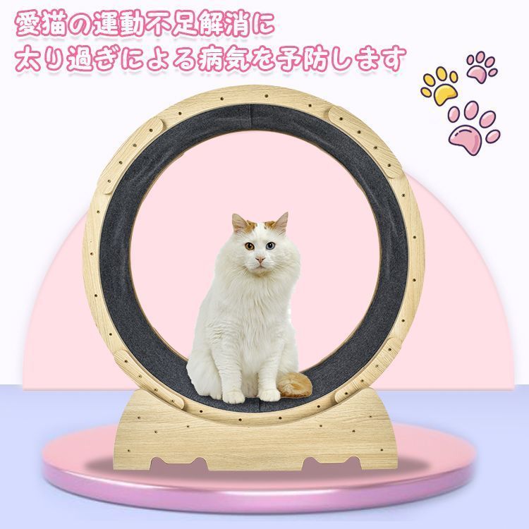 安全