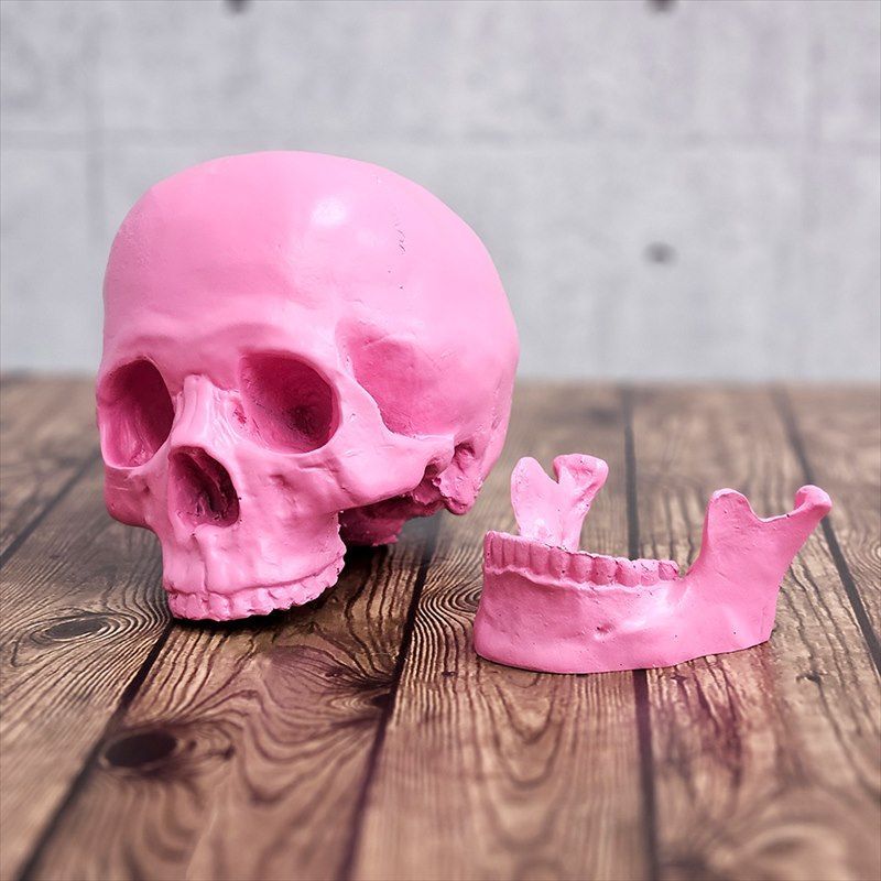 ガイコツ 置物 ドクロ 置物 スカル オブジェ スカルヘッド 骸骨 SKULL
