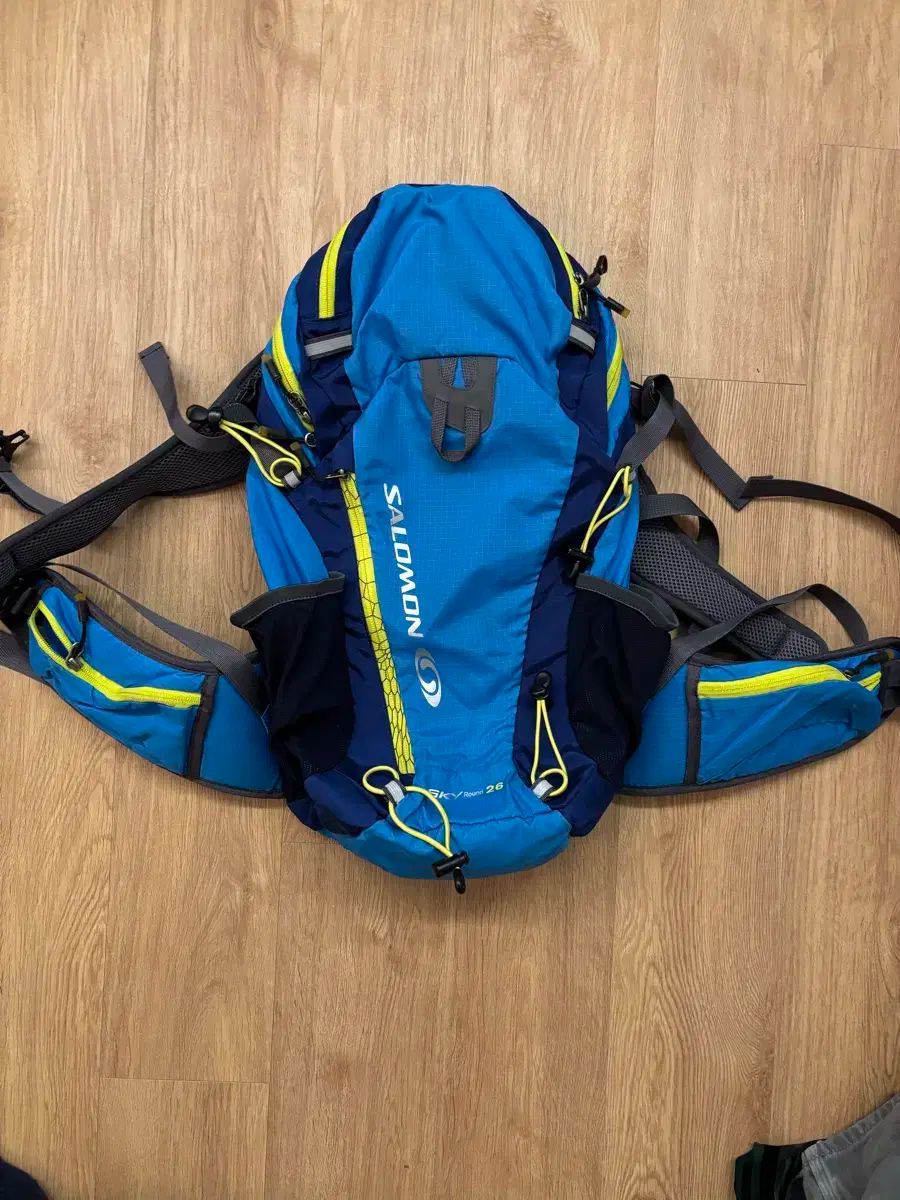 サロモン y2k ヴィンテージ リュック リュックサック 26L