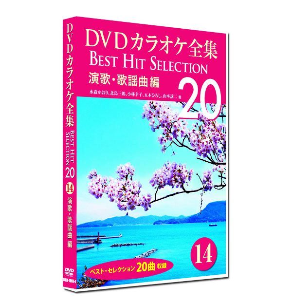 新品】DVD カラオケ全集14 BEST HIT SELECTION 演歌・歌謡曲編