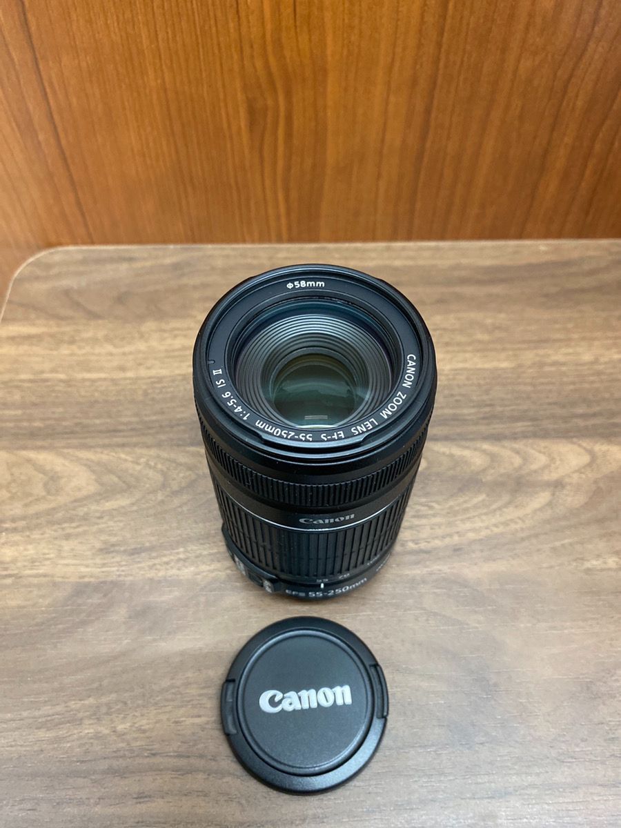 キャノン CANON EF-S 55-250mm F4-5.6 IS STM