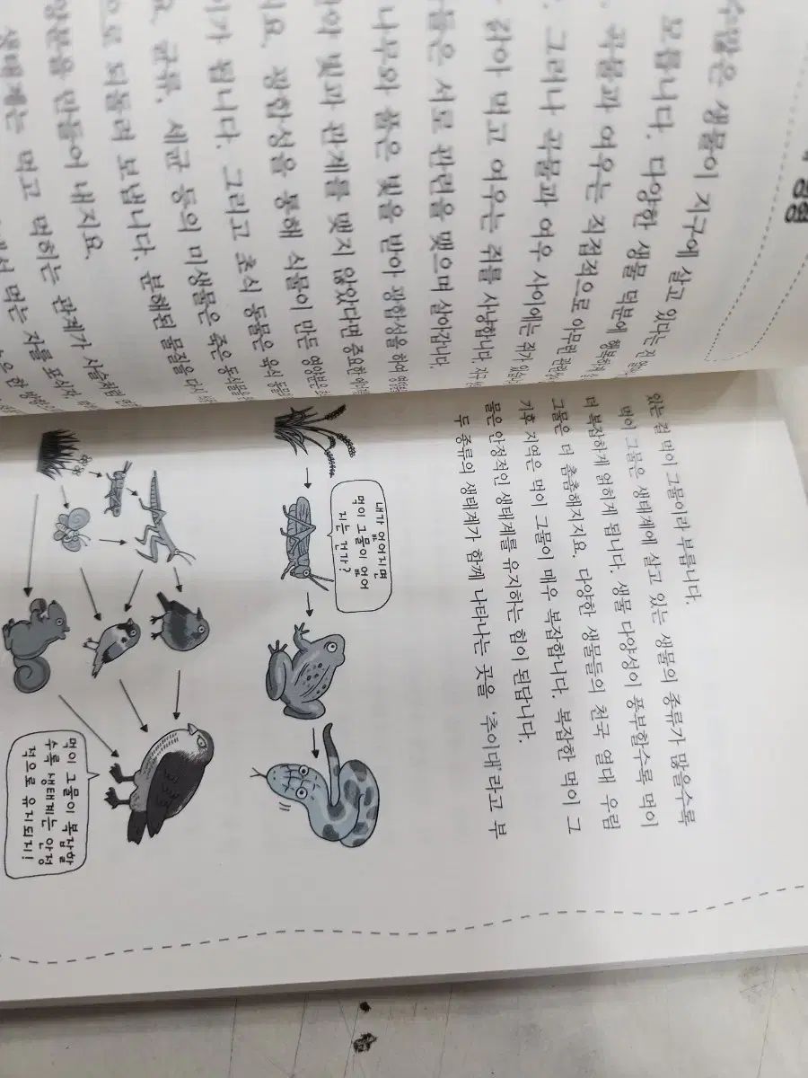 サイエンスストーリー ハンドブック