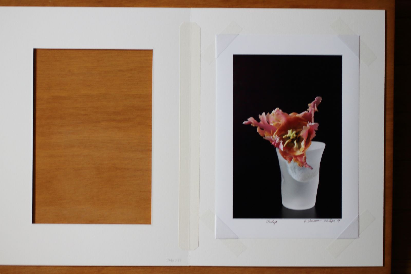 A3サイズ額付き】井上治OsamuInoue 『Tulip 0358』 物理 教室