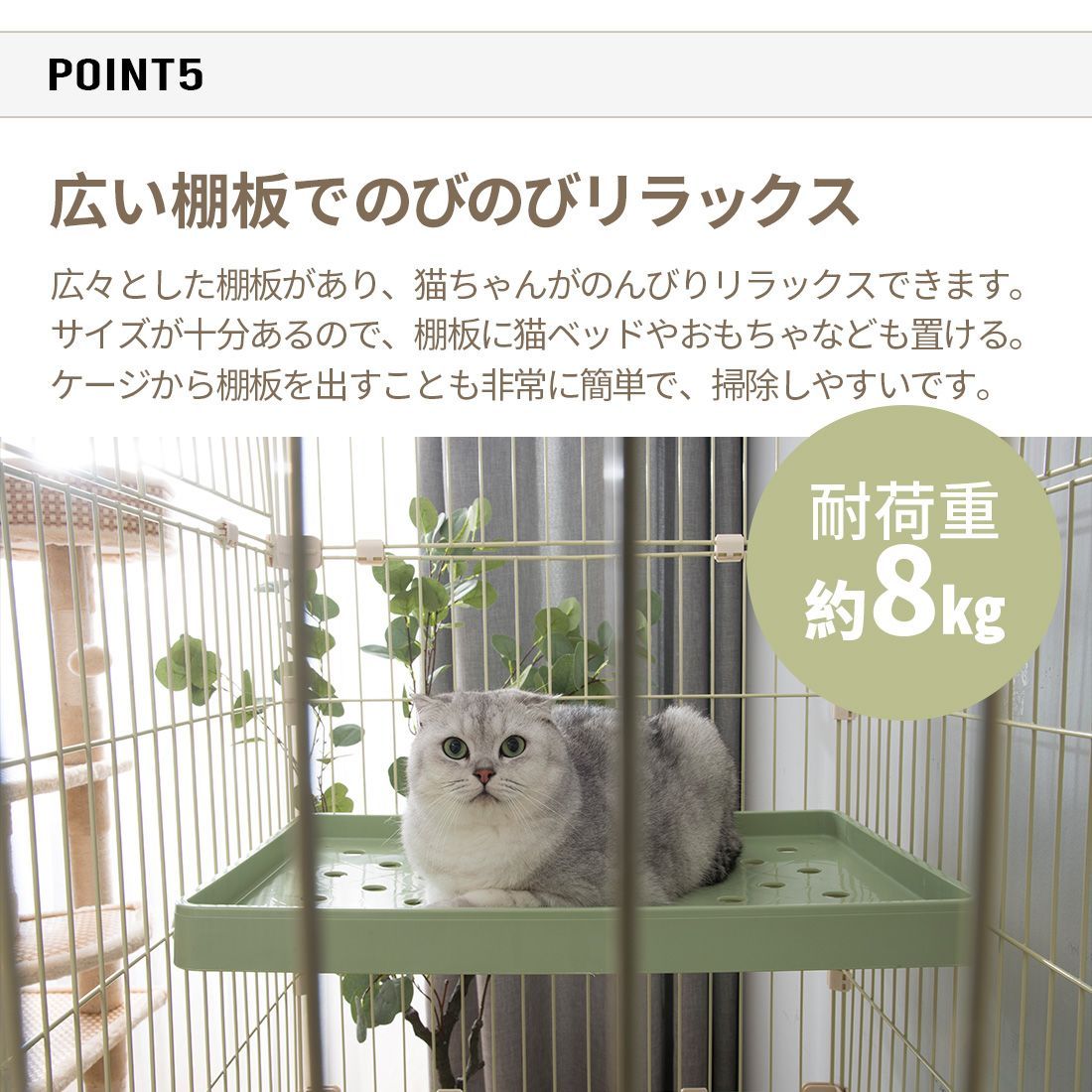 保護