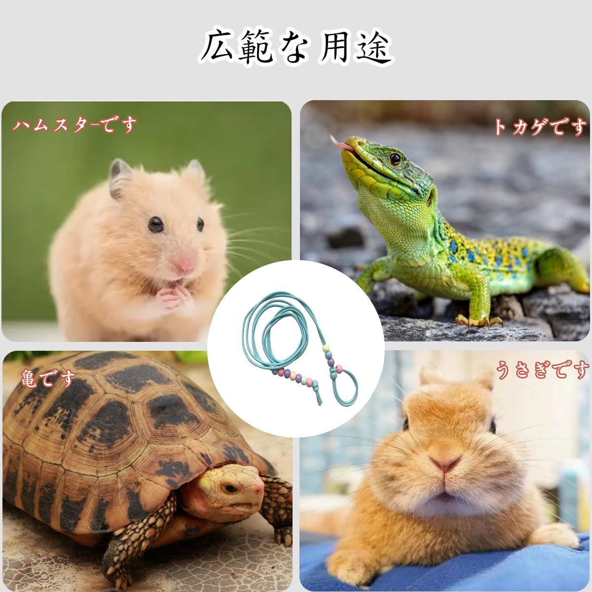 ハーネス うさぎ