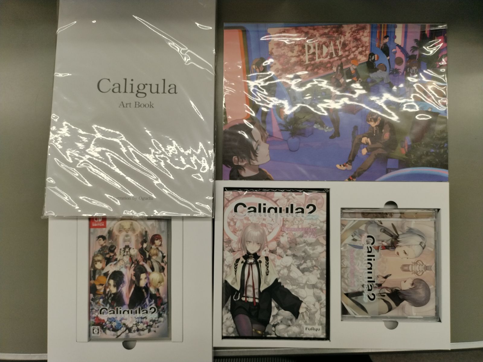 中古Switchソフト】Caligula2（カリギュラ2） 初回生産限定版 【50-60