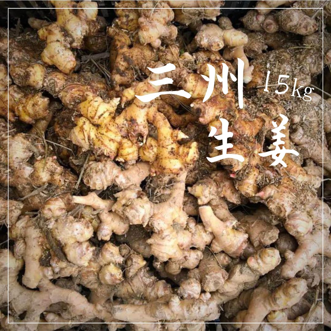 無農薬 幻の三州生姜 種生姜 約15kg ｜農家直送 - メルカリ