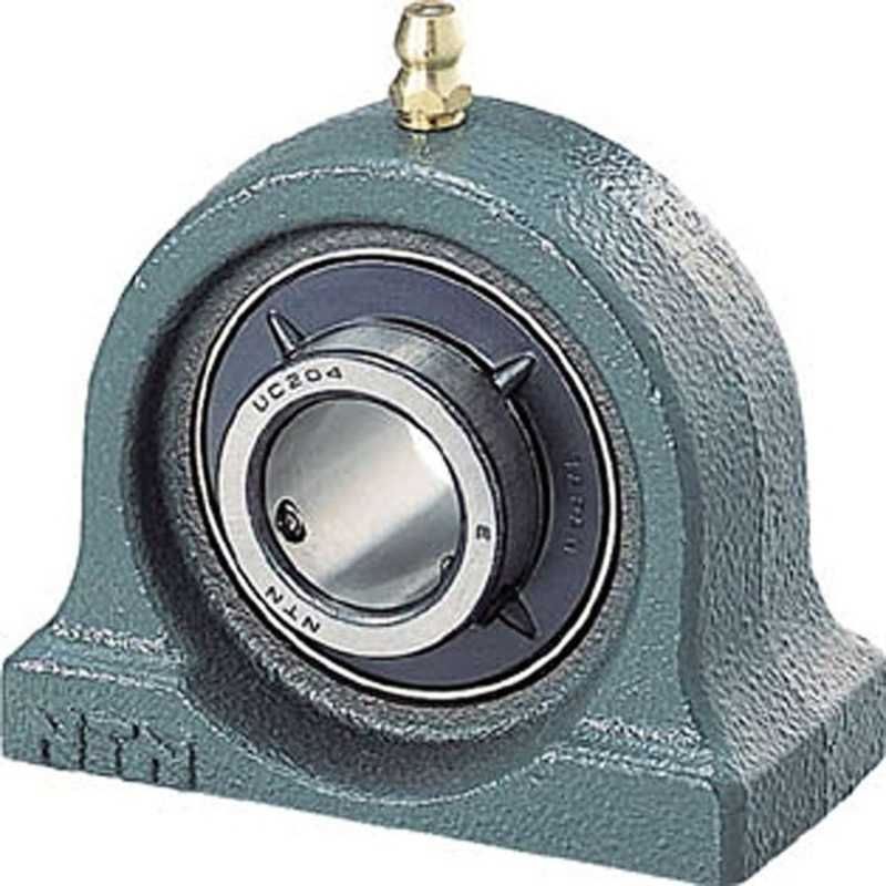 とても珍しい 仔犬の伊万里