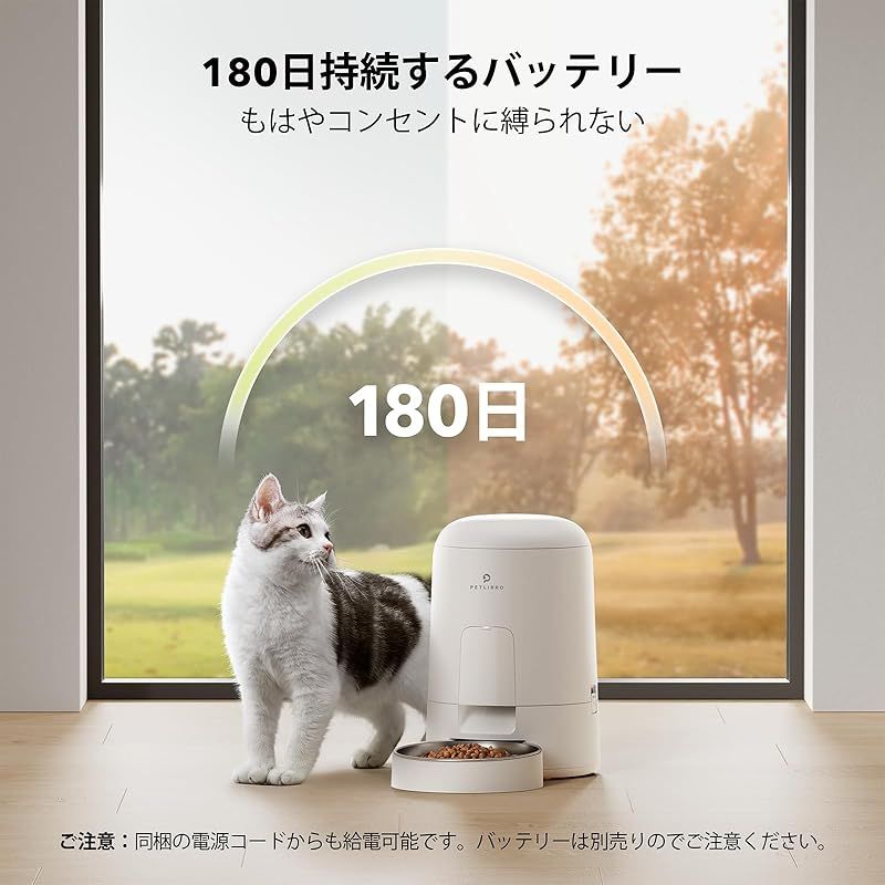 ホワイト
