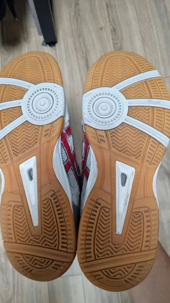 フレンチテリー