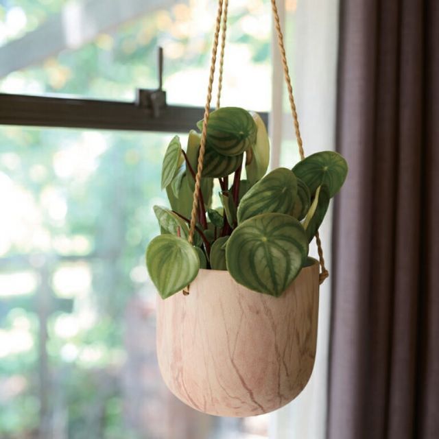 花 観葉植物用ポット