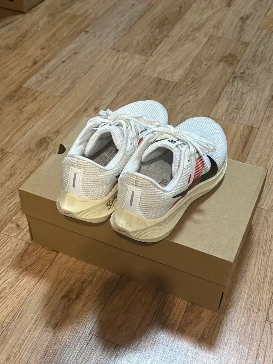 キプチョゲ 260