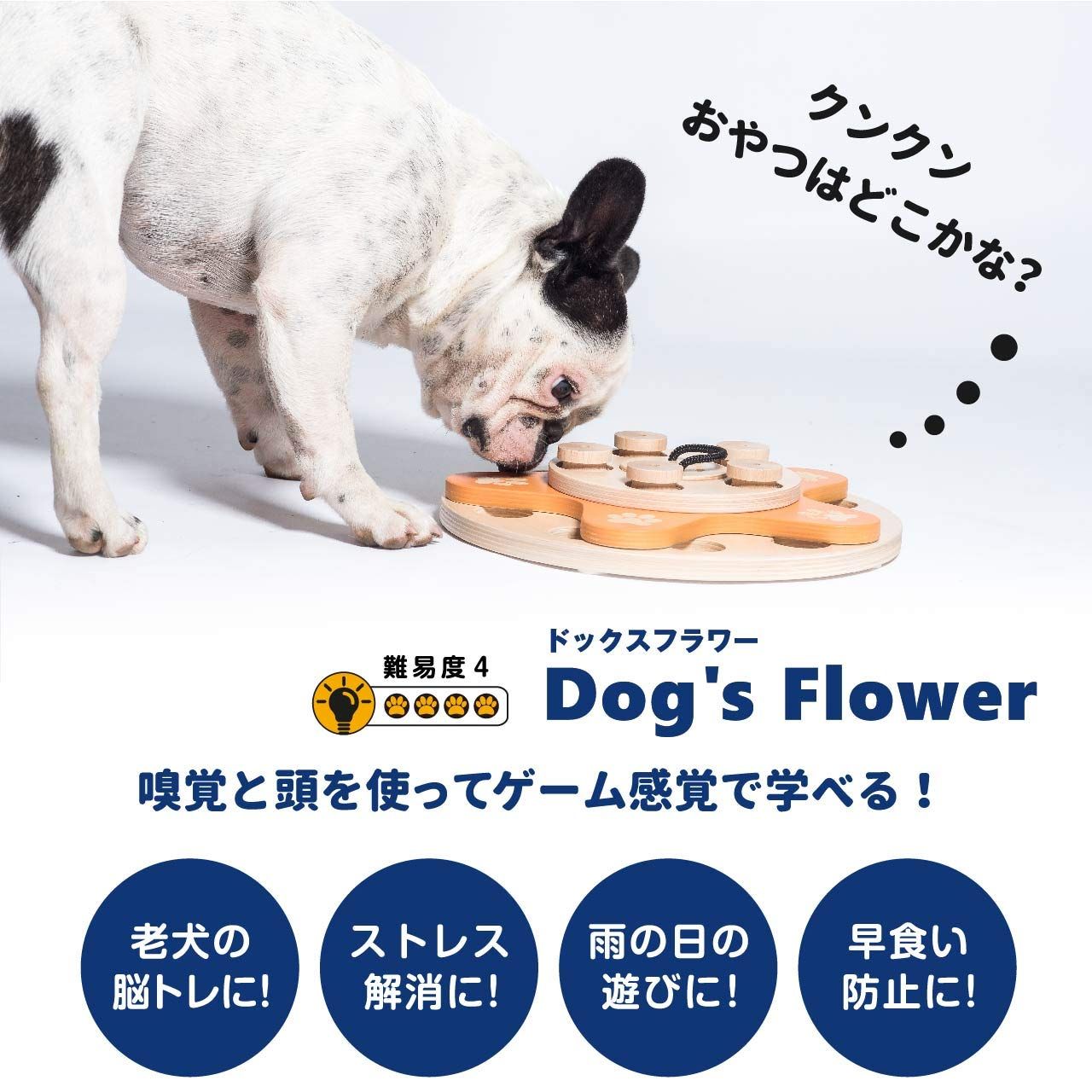 トレーニング