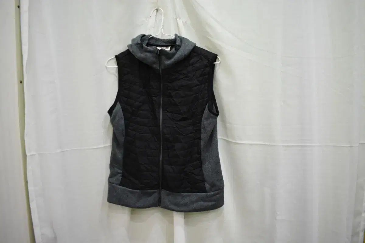 THE NORTH FACE(ザノースフェイス) レディース ベスト 85 THE