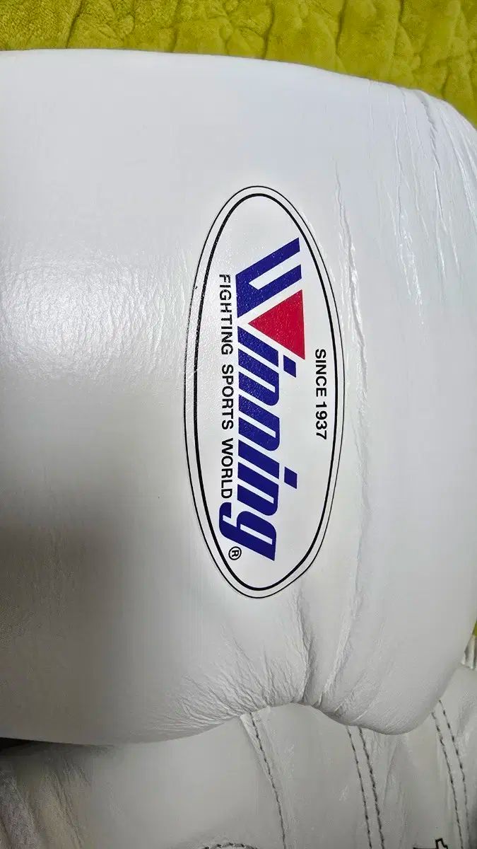 16oz ホワイト
