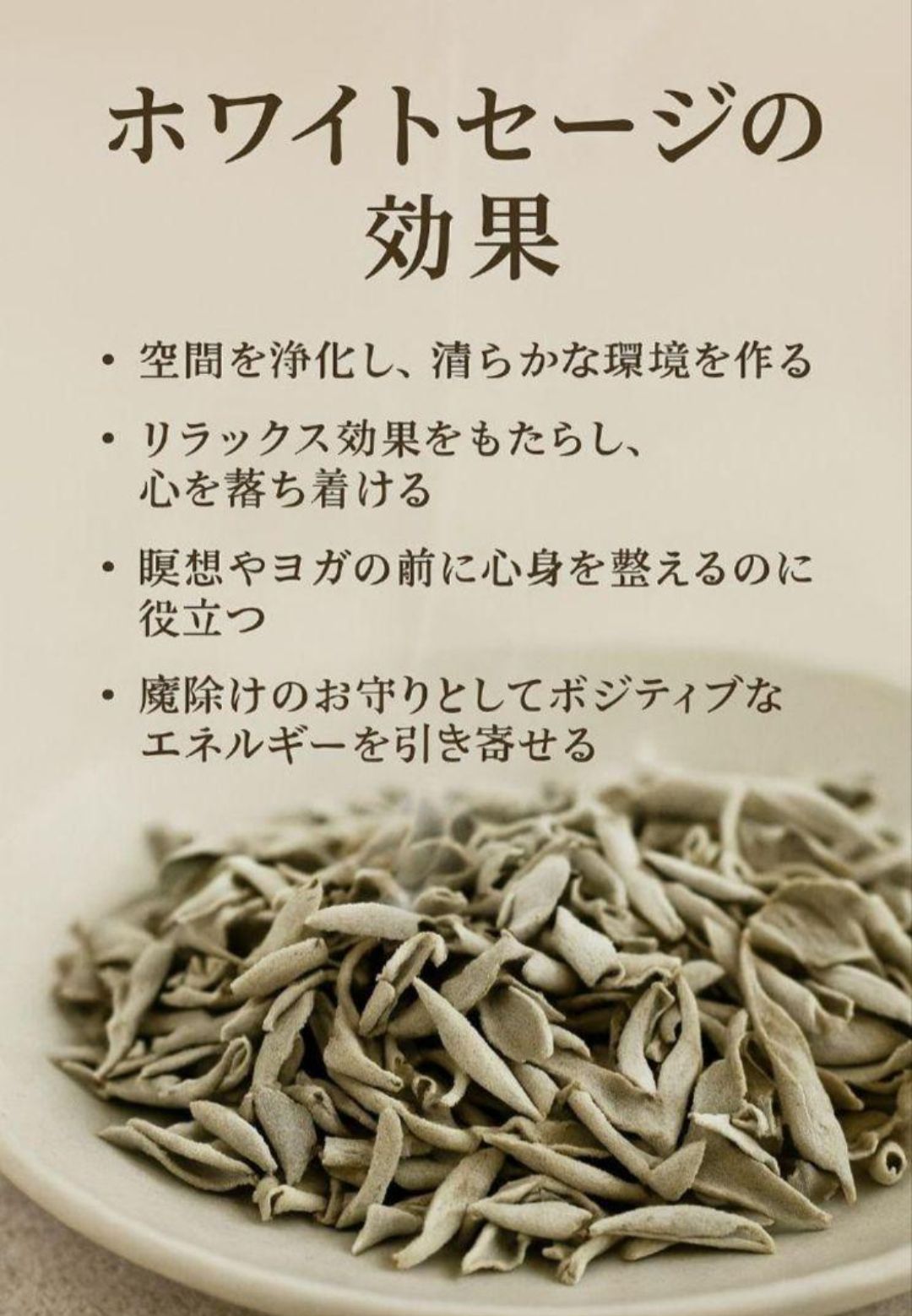激安価格☆無農薬ホワイトセージ枝付きクラスター1kg箱入りお香浄化