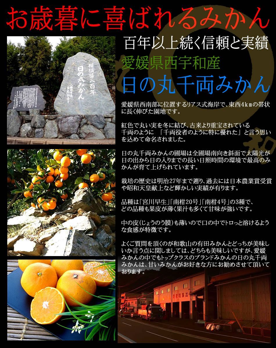 愛媛みかん 愛媛蜜柑