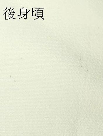 平和屋本店□極上 松田聖子 SEIKOMATSUDA 訪問着 乱菊 薄い白緑色地