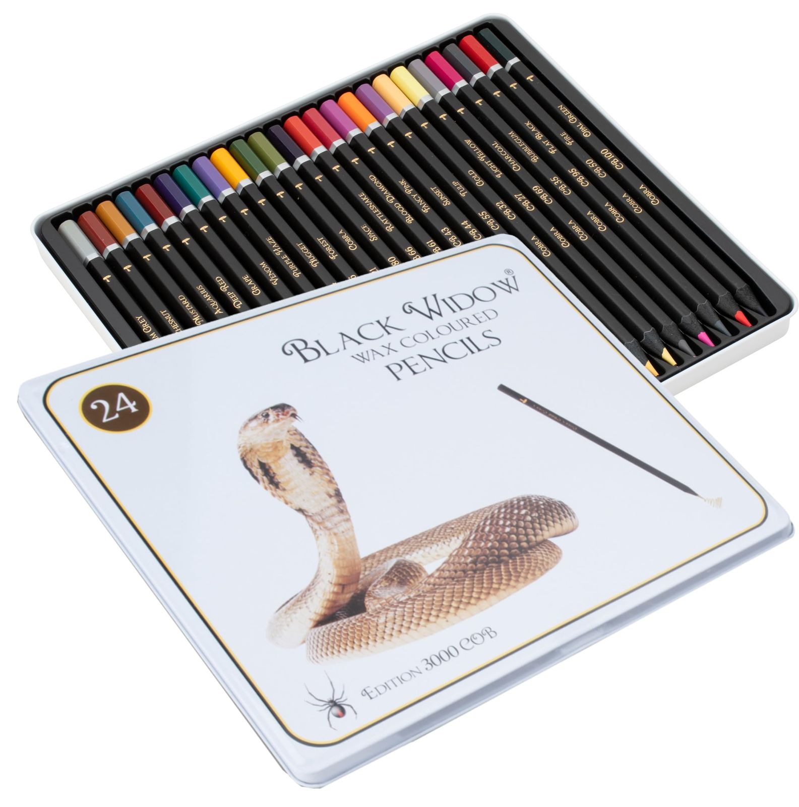 色鉛筆画A4.キジトラ.66 色鉛筆画A4.キジトラ.66 色鉛筆画【猫の絵