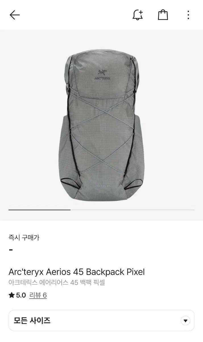 ARC TERYX アークテリクス エリア 45 バックパック