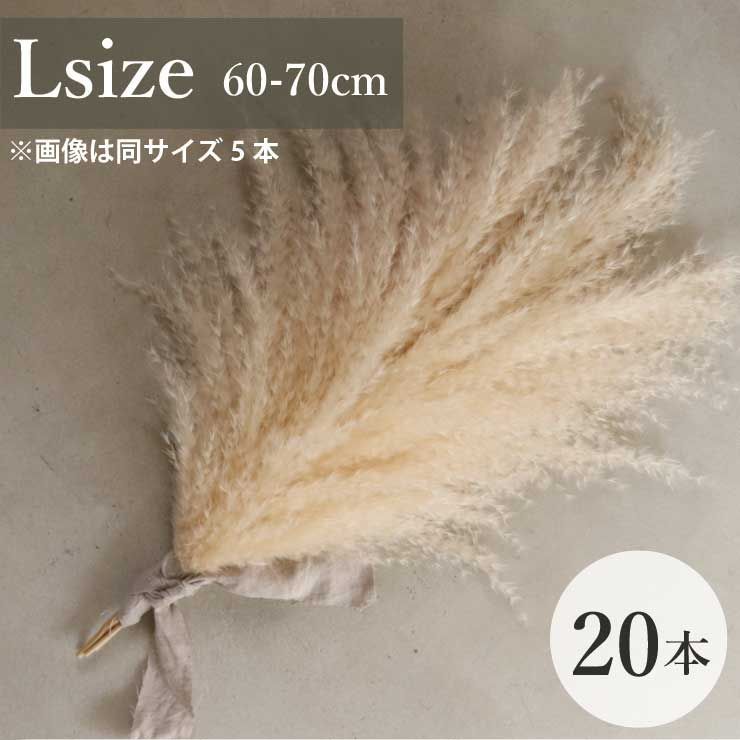 ただ今完売中　　横長スワッグ　140㎝ 特大パンパスグラス＊ ただ今完売中140㎝ 特大パンパスグラス＊ ただ今完売中 横長スワッグ