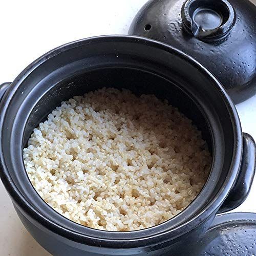 在庫 30-1 3合 中蓋付 ごはん鍋 絶品 萬古焼 19.5cm 黒 ご飯鍋 佐治陶器