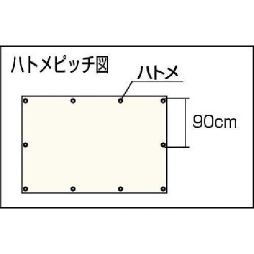 人気商品】ブルーシートα#3000 2.7m×5.4m TRUSCO(トラスコ) BSA-2754