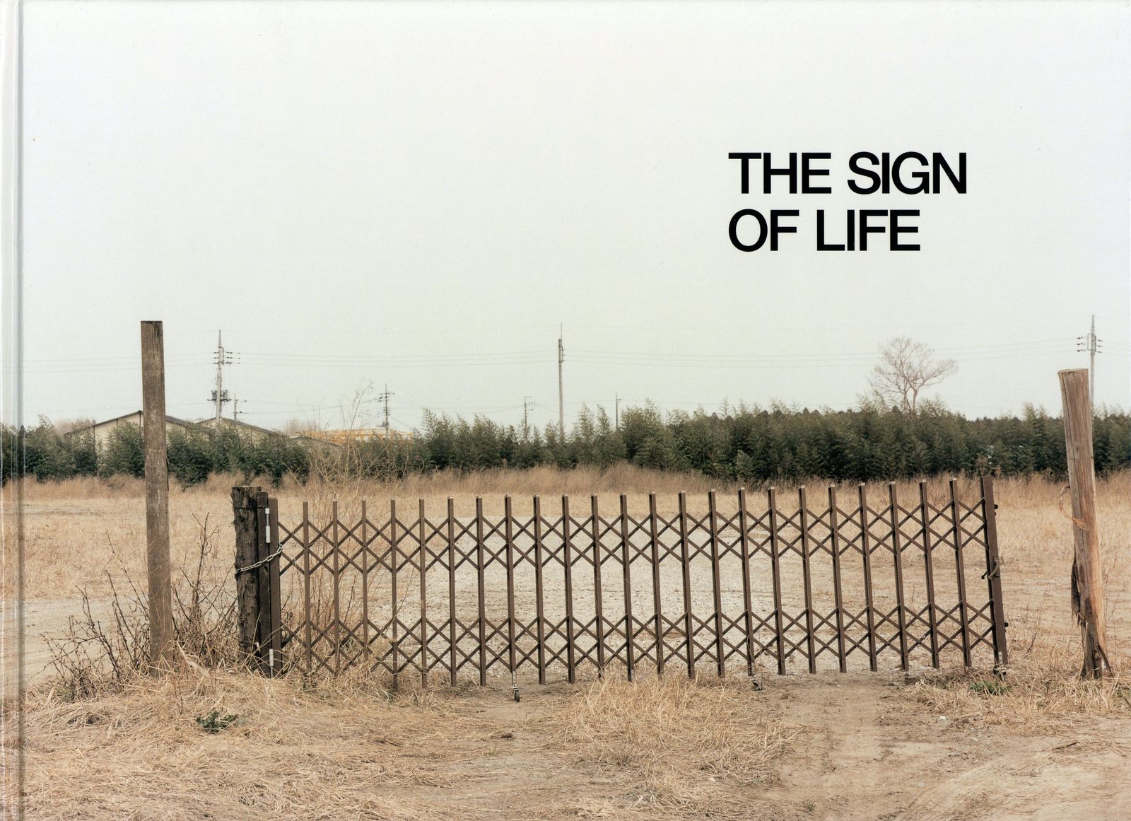 Osiris 清野賀子 The Sign of Life
