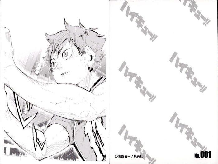 ハイキュー クロニクル 思い出スナップフォトカード ハイキュー!! 10thクロニクル 思い出スナップフォトカード 120枚