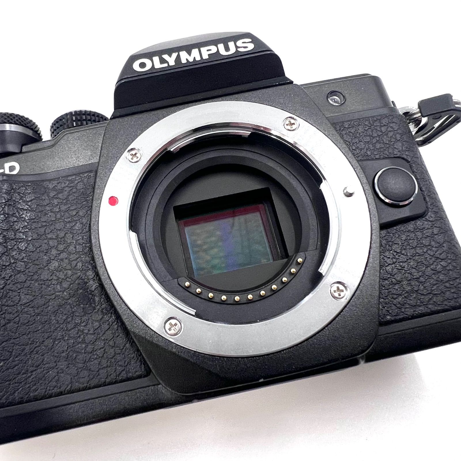 17245 OLYMPUS