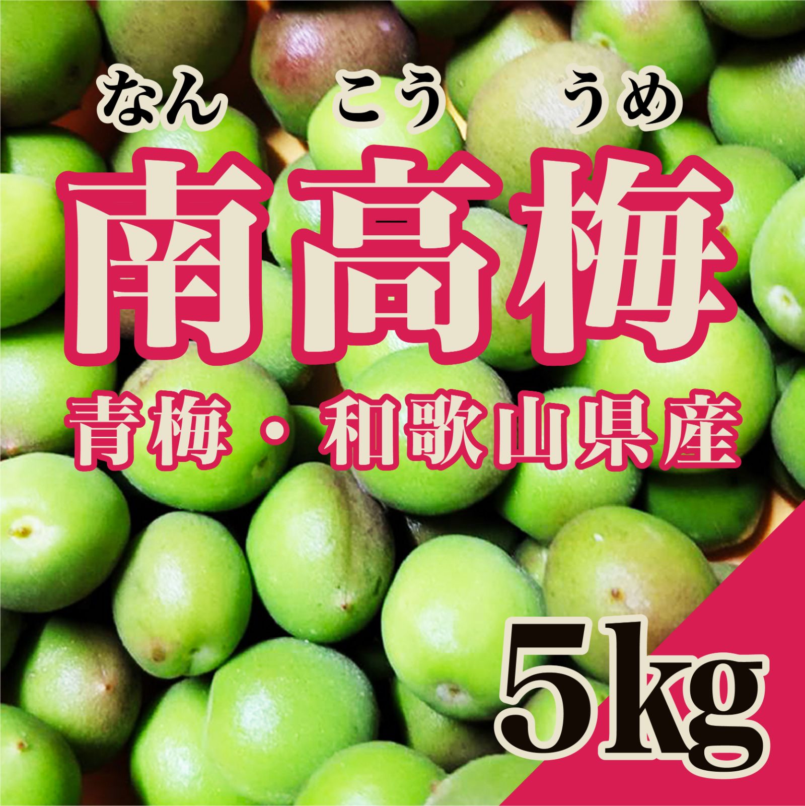 先行予約受付】紀州南高梅 青梅 南高梅 5㎏ 6月上旬よりお届け 先行予約受付】紀州南高梅 青梅 南高梅 5㎏ 6月上旬よりお届け