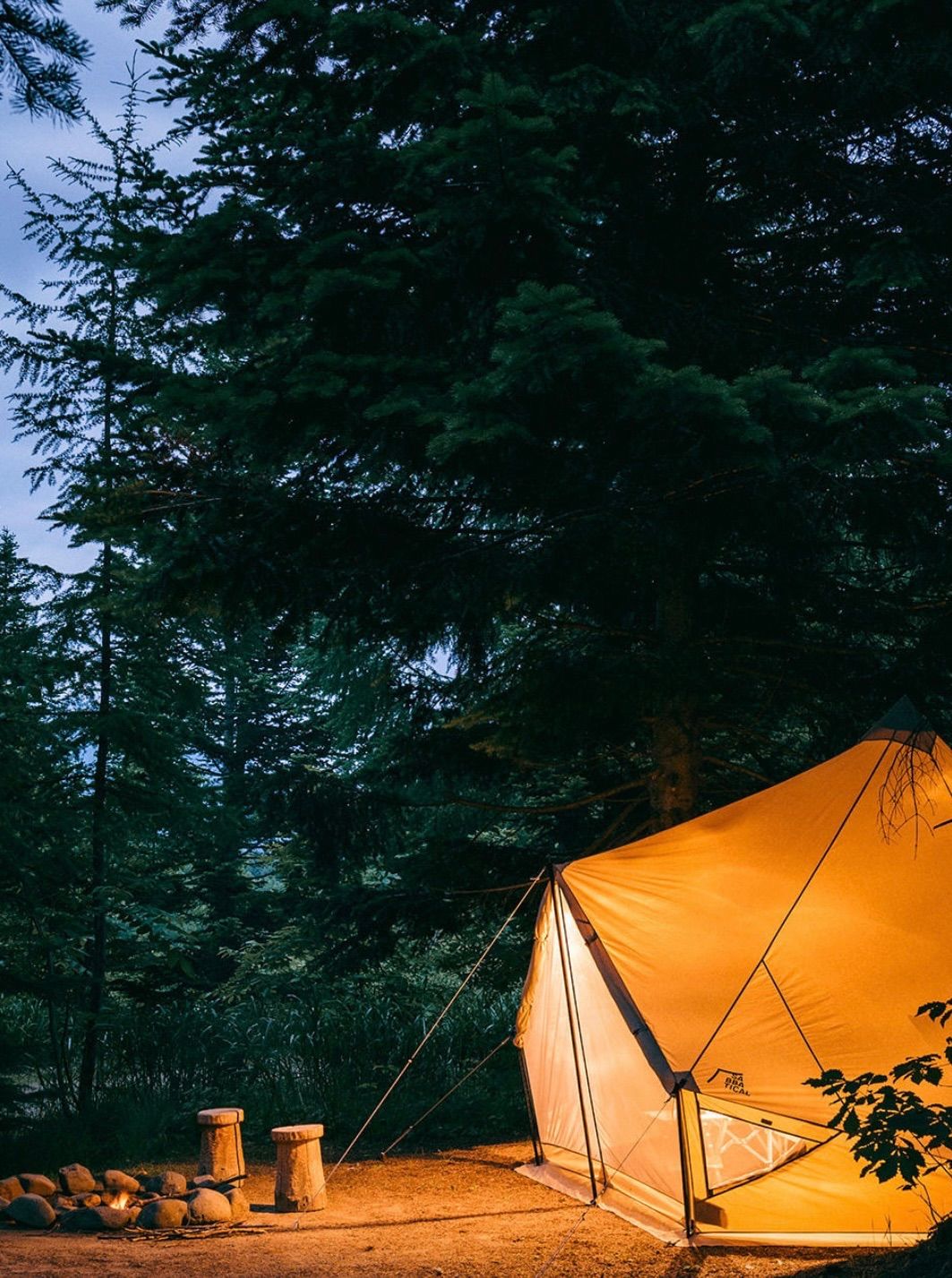 SABBATICAL サバティカル MORNIG GLORY TC モーニンググローリー