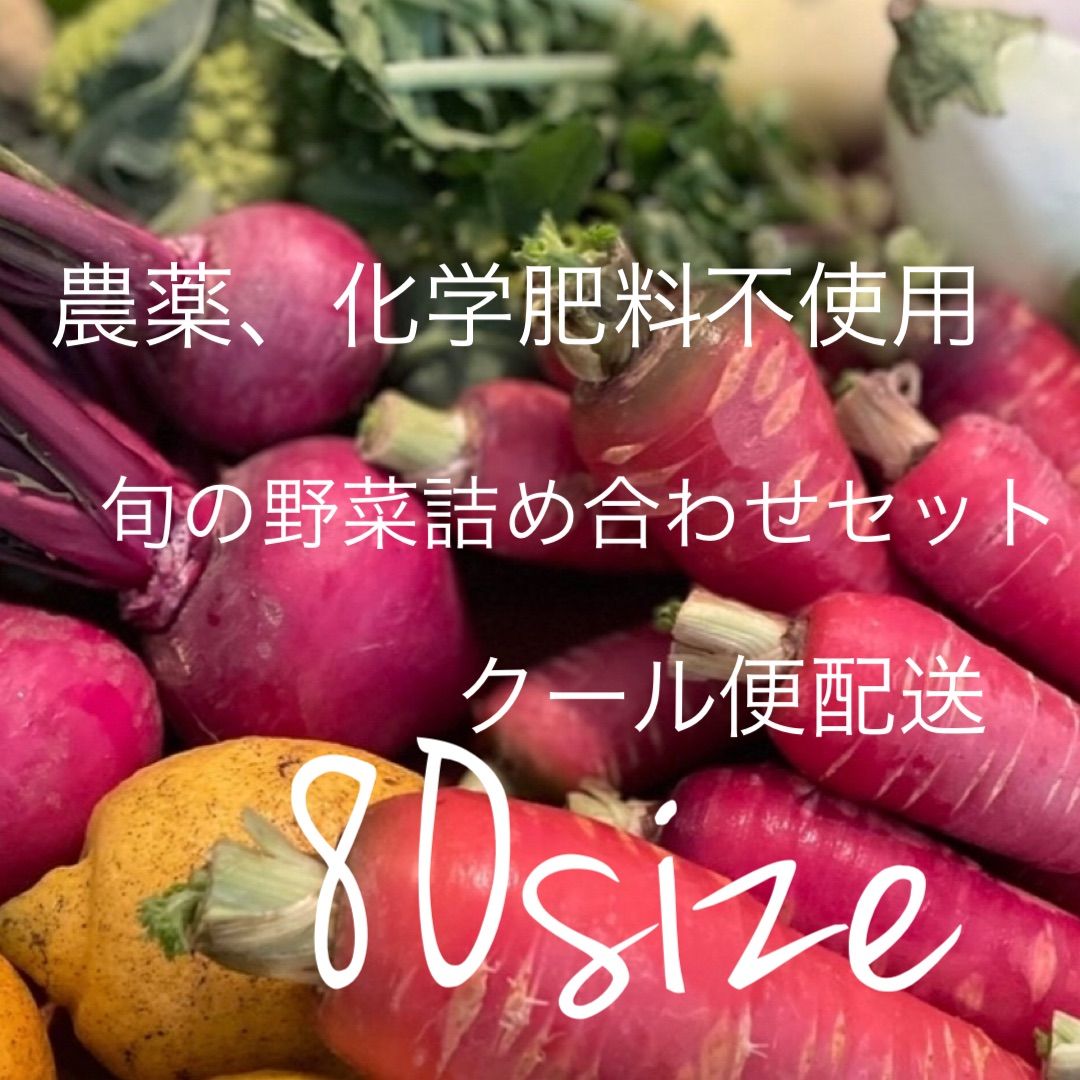 男女兼用 旬の野菜詰め合わせセット 80サイズ クール便 - 通販