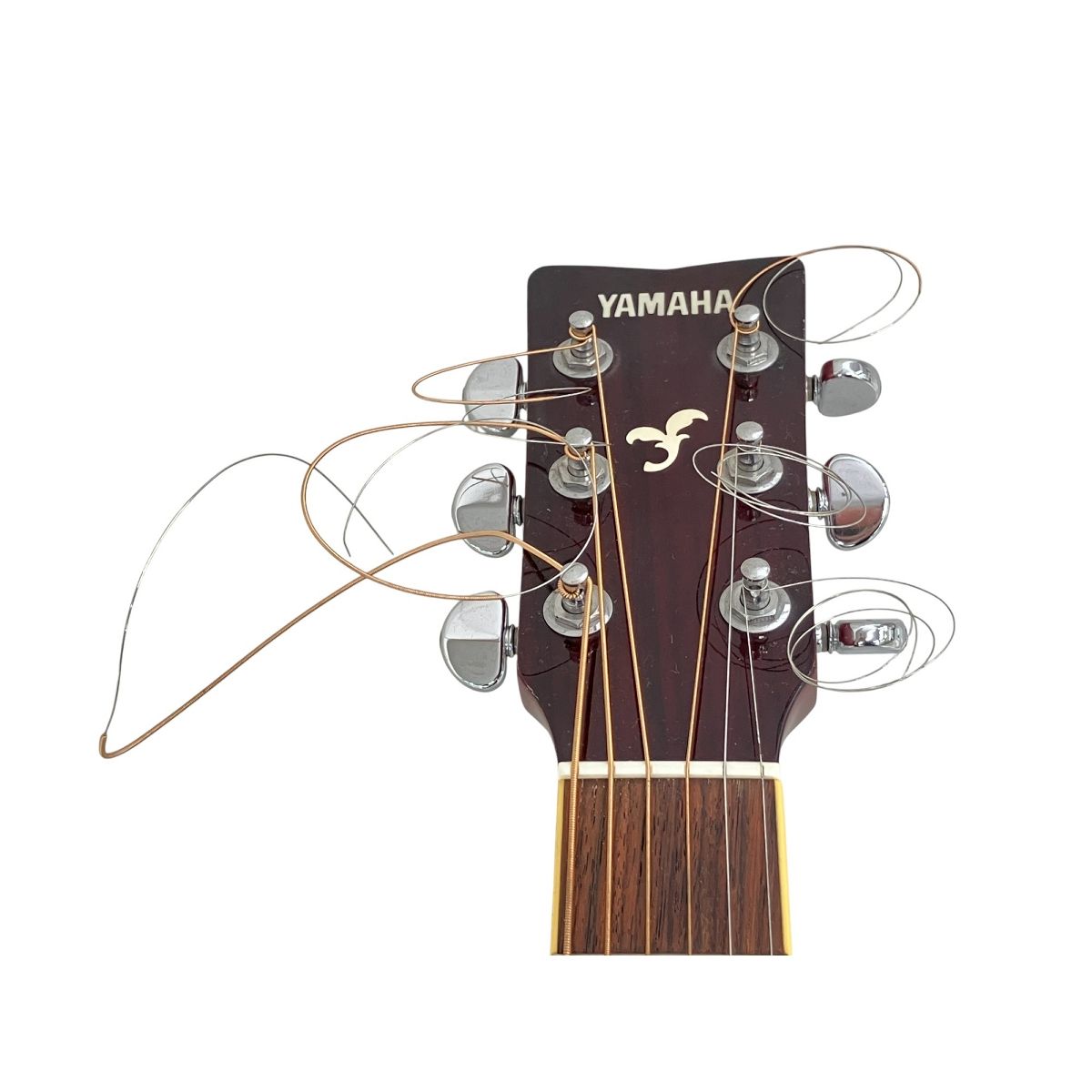 ソフトケース付き