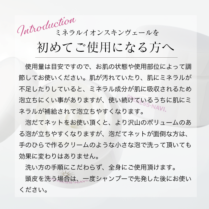 2022新作 Pre Autumn ワンネスナヴィ ミネラルイオンスキンヴェール