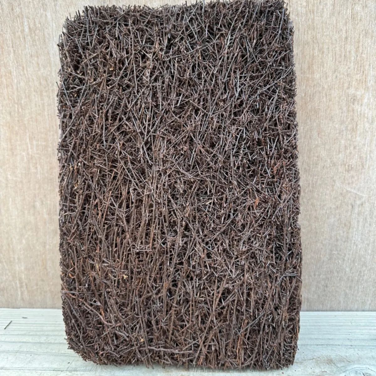 ヘゴ板 約20X30cm③ ヘゴ 板 フェゴ 観葉植物 観葉 植物 塊根植物 塊根 コーデックス 着生植物 着生 シダ植物 シダ エアプランツ ...