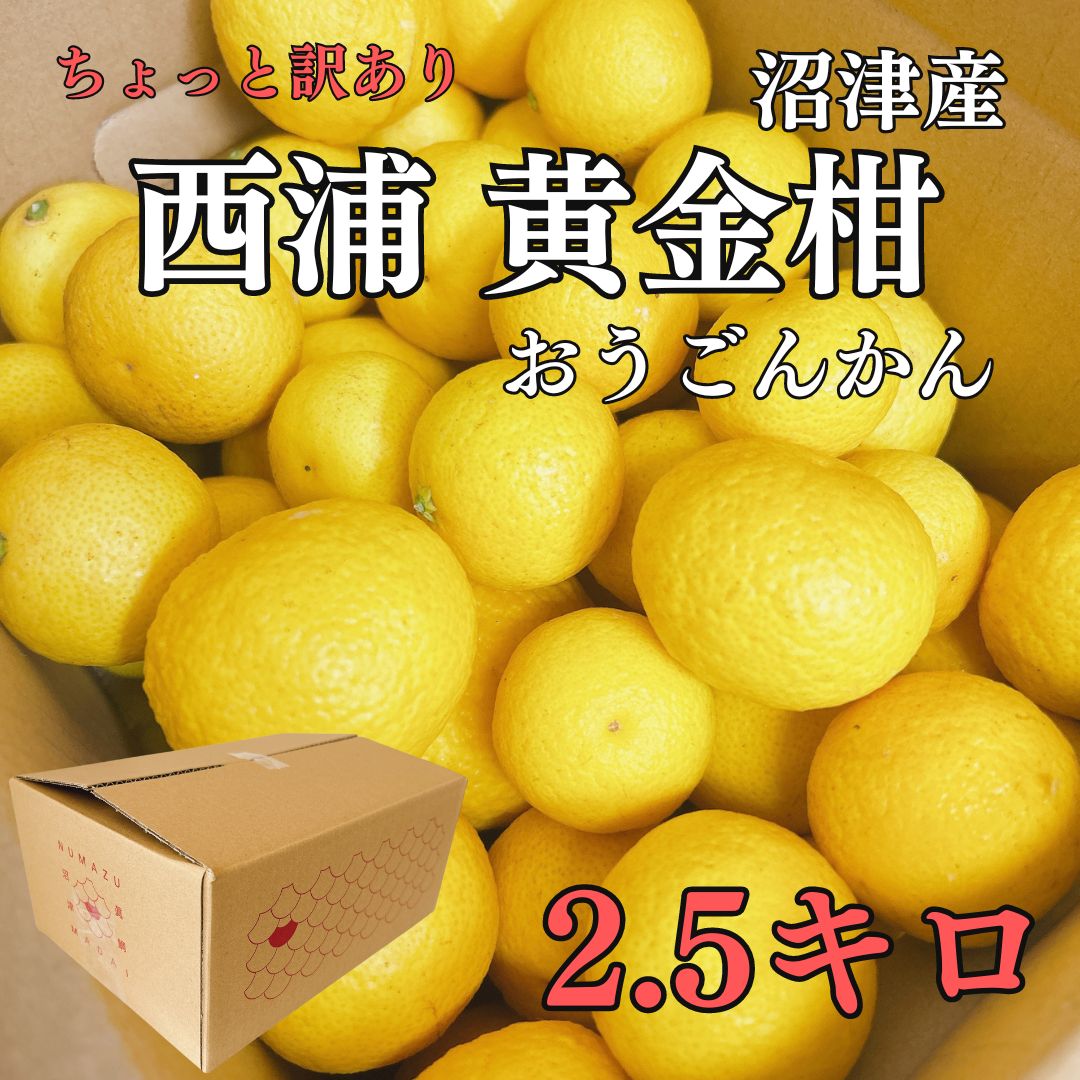 柑橘系 黄金柑 別名 美生柑 みしょうかん FRUIT Navigation ハナフル