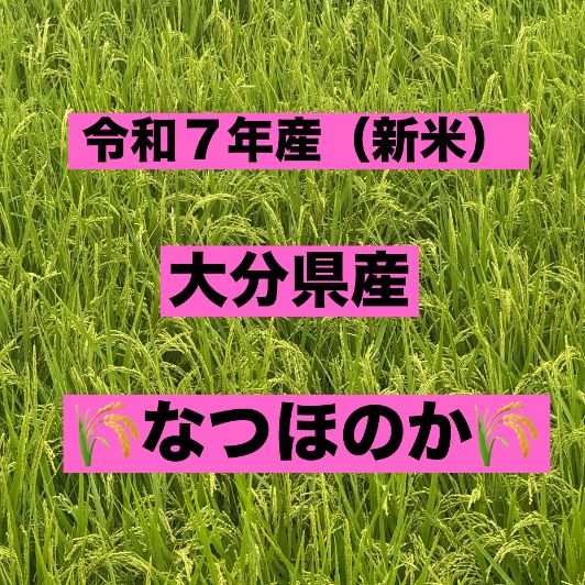 新米】大分県産 なつほのか 30kg 玄米 令和7年産 - メルカリ