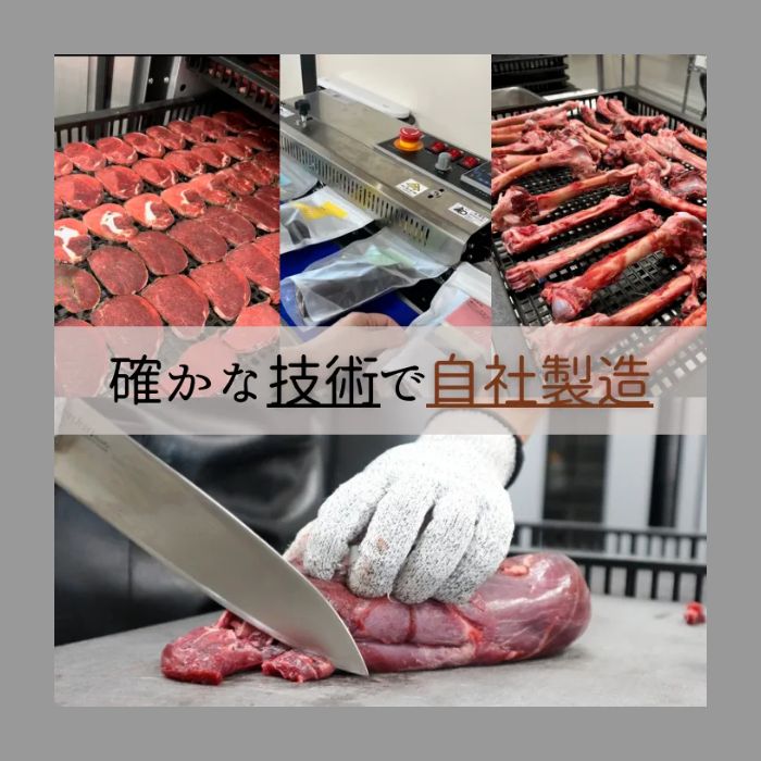 超小型犬～大型犬