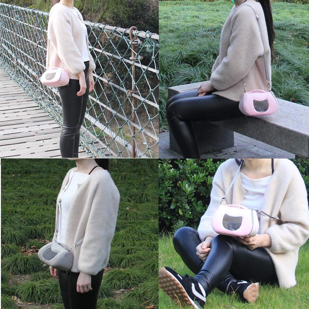 ペットと一緒に旅行