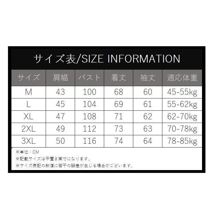 【新品は未使用です】2526アスナル本拠地ハフィッツ29ユニフォームL アーセナル 25-26 ホーム 半袖 ユニフォーム No.29 ハバーツ