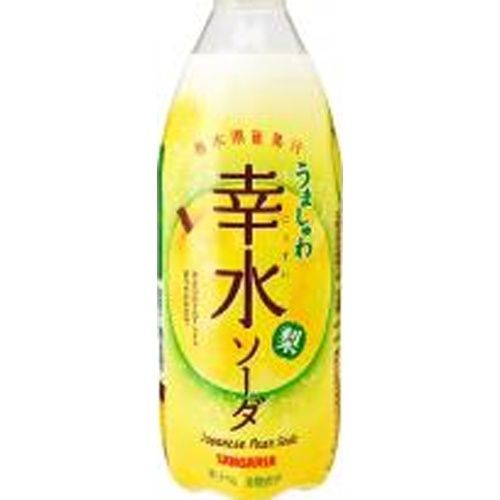 税込】 食品サンプル⭐︎すいかソーダ メルカリ - その他 - その他