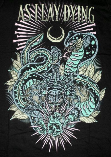 アズ アイ レイ ダイング Tシャツ As I Lay Dying Cobra 正規品 AILD