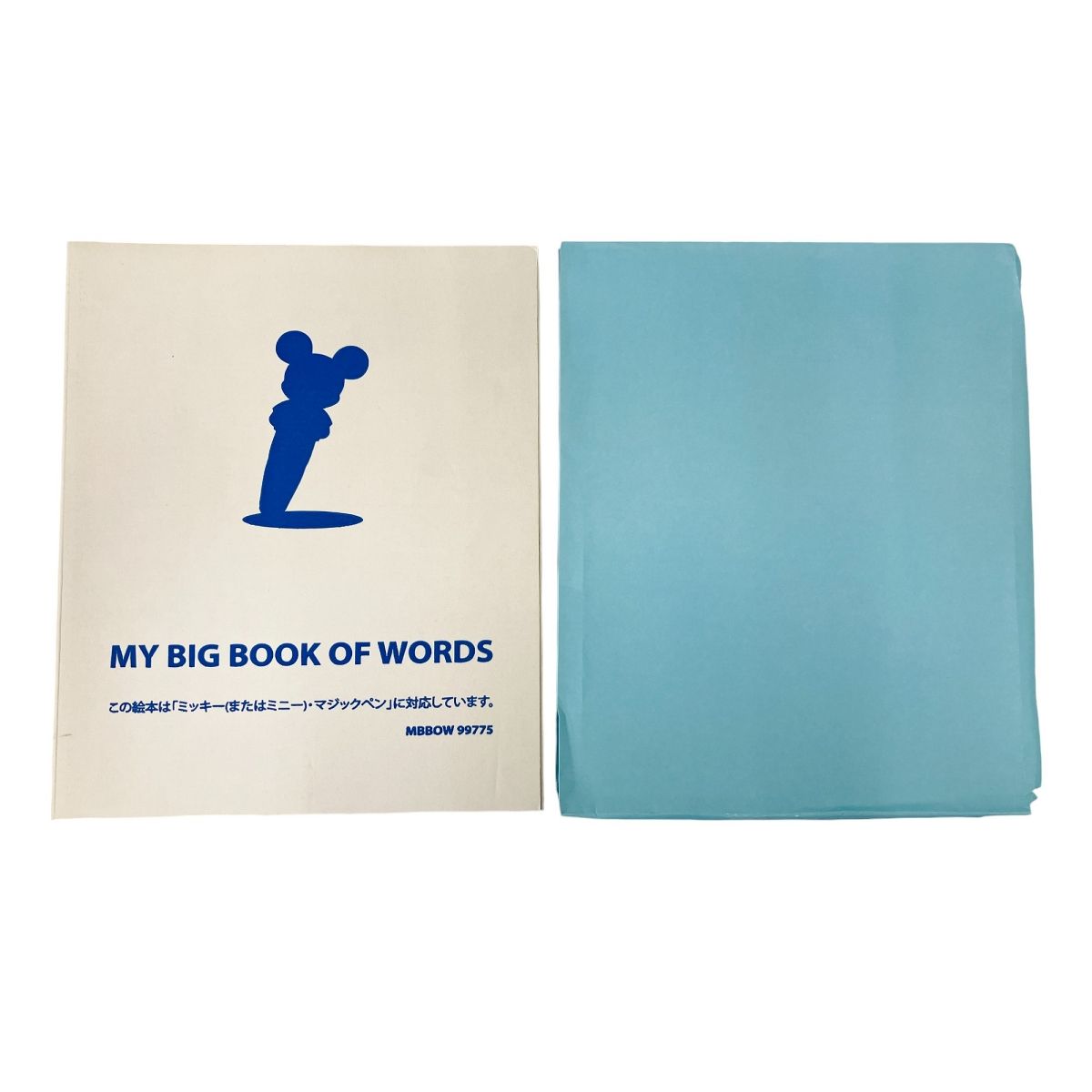 My Big Book of Words DWE 絵辞書