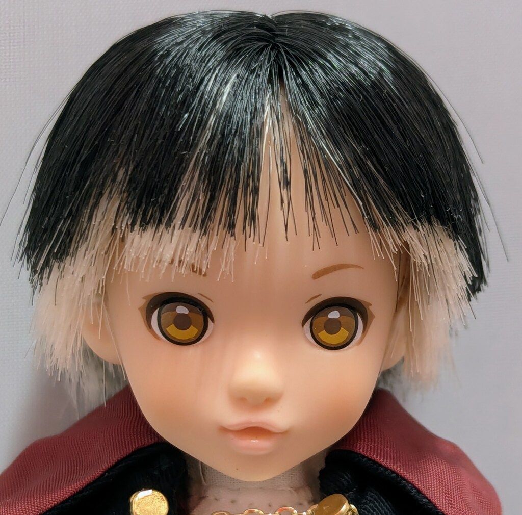 ペットワークス ヴァンパイアruruko boy 【公式ショッピングサイト】