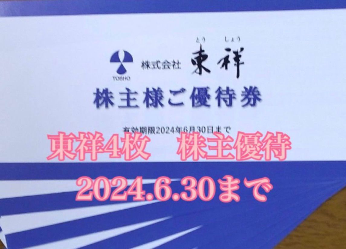 セントラルスポーツ株主優待６枚セット セントラルスポーツ 株主優待券 ６枚✕２セット 合計１２枚 匿名発送無料